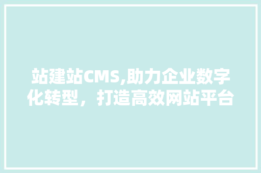 站建站CMS,助力企业数字化转型，打造高效网站平台