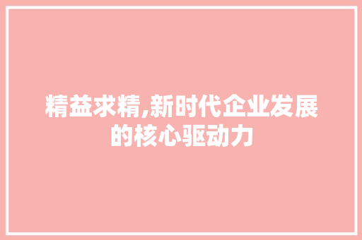精益求精,新时代企业发展的核心驱动力