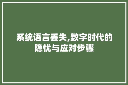 系统语言丢失,数字时代的隐忧与应对步骤