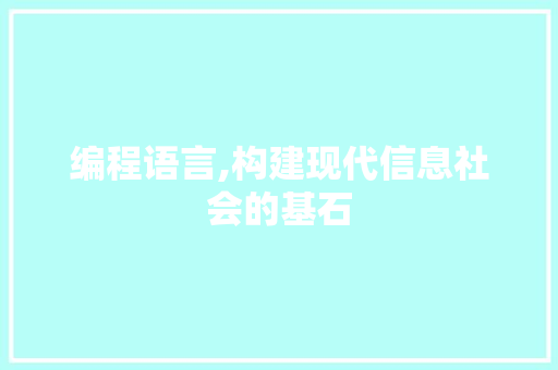 编程语言,构建现代信息社会的基石
