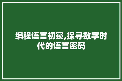 编程语言初窥,探寻数字时代的语言密码