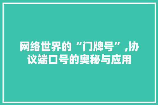 网络世界的“门牌号”,协议端口号的奥秘与应用