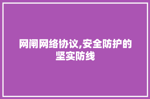 网闸网络协议,安全防护的坚实防线