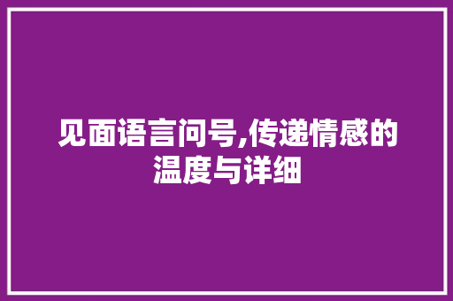 见面语言问号,传递情感的温度与详细