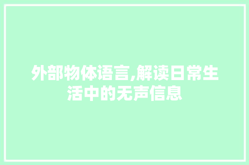 外部物体语言,解读日常生活中的无声信息