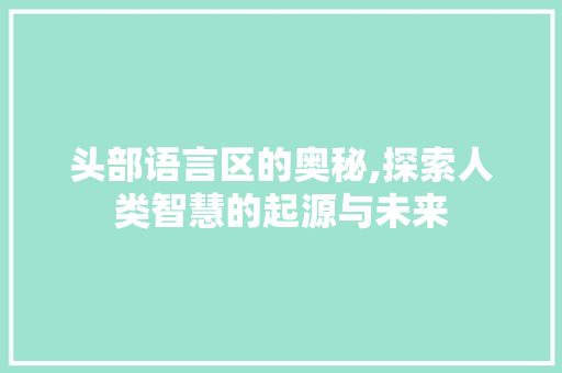 头部语言区的奥秘,探索人类智慧的起源与未来 360搜优化