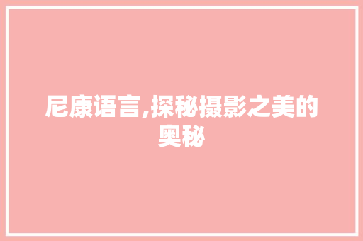 尼康语言,探秘摄影之美的奥秘