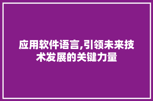 应用软件语言,引领未来技术发展的关键力量 网站开发