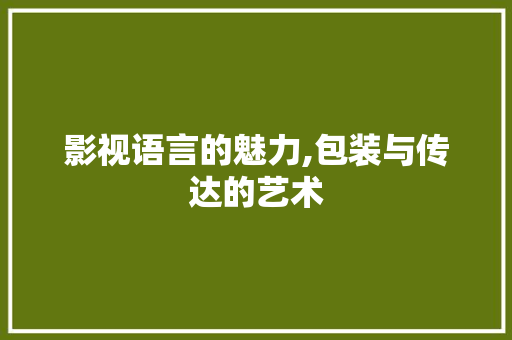 影视语言的魅力,包装与传达的艺术