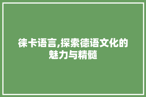 徕卡语言,探索德语文化的魅力与精髓