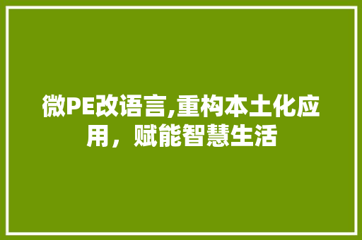 微PE改语言,重构本土化应用，赋能智慧生活