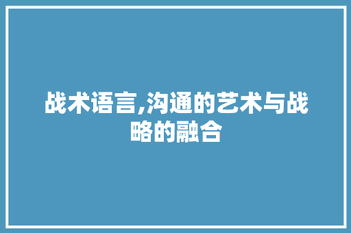 战术语言,沟通的艺术与战略的融合