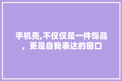 手机壳,不仅仅是一件饰品，更是自我表达的窗口