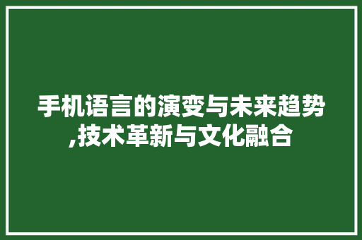 手机语言的演变与未来趋势,技术革新与文化融合