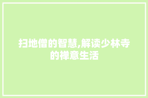 扫地僧的智慧,解读少林寺的禅意生活 360搜优化