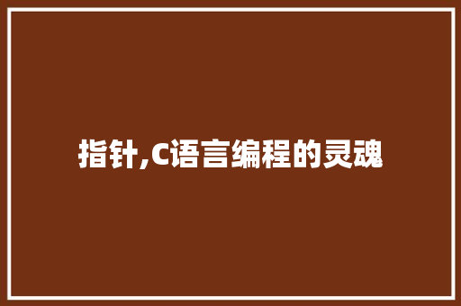 指针,C语言编程的灵魂