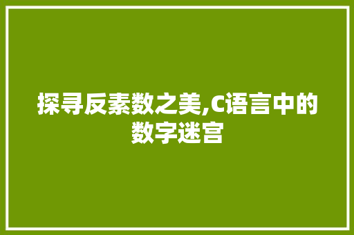 探寻反素数之美,C语言中的数字迷宫