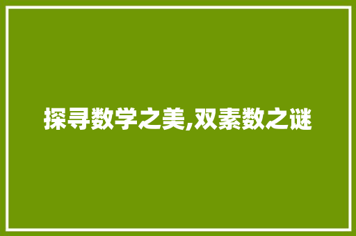 探寻数学之美,双素数之谜