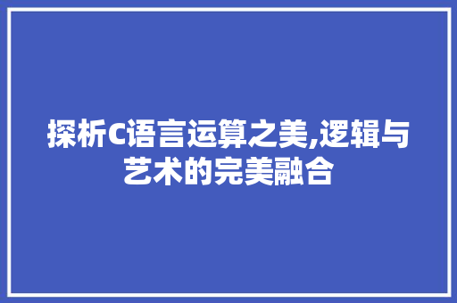 探析C语言运算之美,逻辑与艺术的完美融合