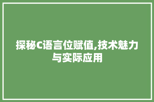 探秘C语言位赋值,技术魅力与实际应用 小程序开发