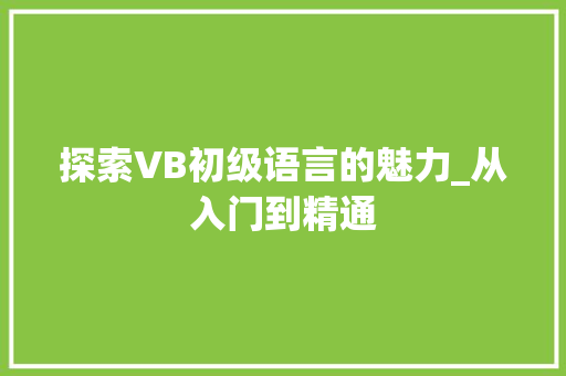 探索VB初级语言的魅力_从入门到精通