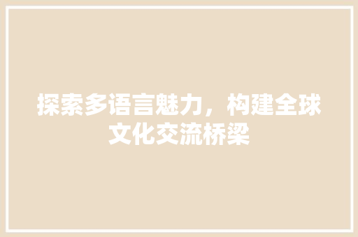 探索多语言魅力，构建全球文化交流桥梁