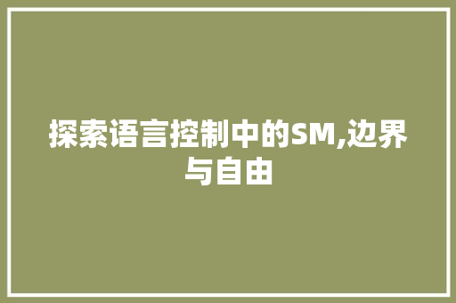 探索语言控制中的SM,边界与自由 网站开发