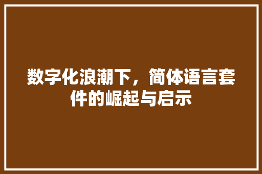 数字化浪潮下，简体语言套件的崛起与启示