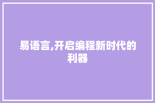易语言,开启编程新时代的利器 网站优化