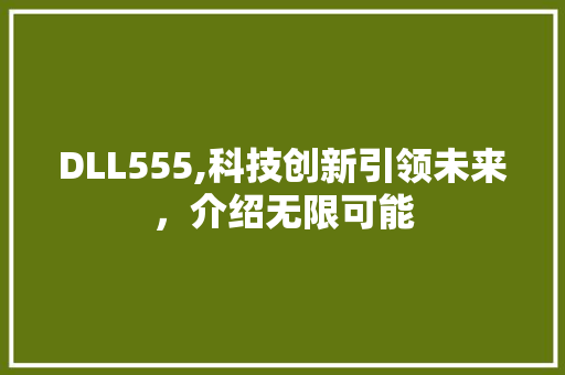 DLL555,科技创新引领未来，介绍无限可能