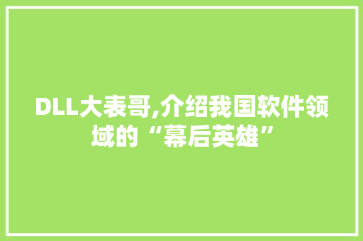 DLL大表哥,介绍我国软件领域的“幕后英雄”