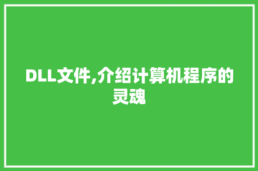 DLL文件,介绍计算机程序的灵魂 小程序开发