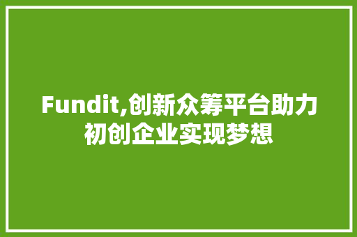Fundit,创新众筹平台助力初创企业实现梦想