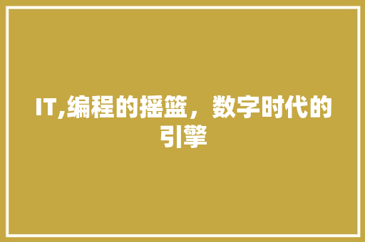 IT,编程的摇篮，数字时代的引擎