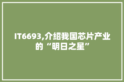 IT6693,介绍我国芯片产业的“明日之星”