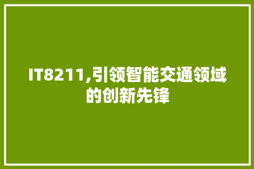 IT8211,引领智能交通领域的创新先锋
