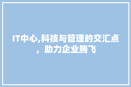 IT中心,科技与管理的交汇点，助力企业腾飞 网站开发