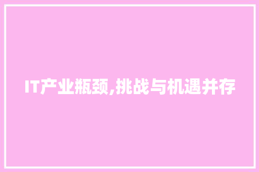 IT产业瓶颈,挑战与机遇并存