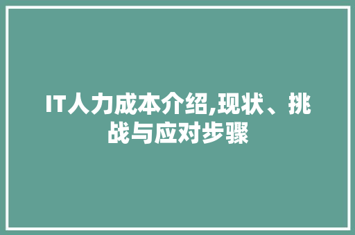 IT人力成本介绍,现状、挑战与应对步骤 网站开发