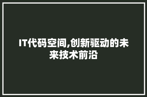 IT代码空间,创新驱动的未来技术前沿