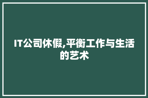 IT公司休假,平衡工作与生活的艺术 网站开发