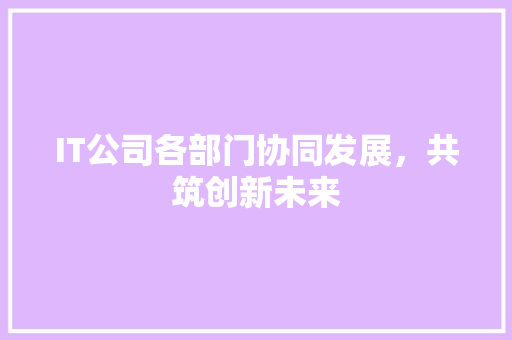IT公司各部门协同发展，共筑创新未来