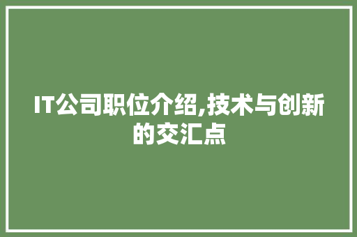 IT公司职位介绍,技术与创新的交汇点