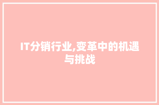 IT分销行业,变革中的机遇与挑战