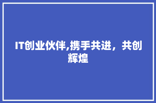 IT创业伙伴,携手共进，共创辉煌