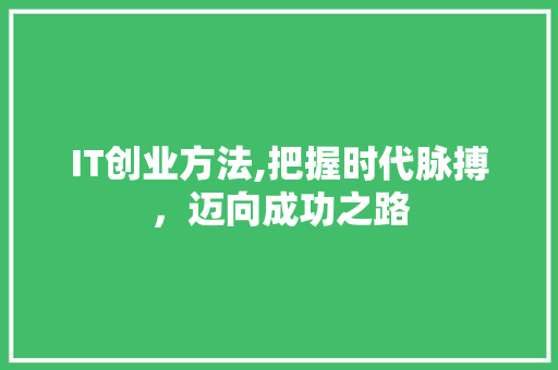 IT创业方法,把握时代脉搏，迈向成功之路