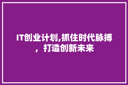 IT创业计划,抓住时代脉搏，打造创新未来