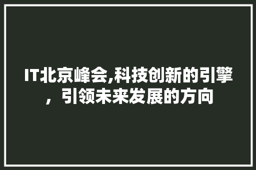 IT北京峰会,科技创新的引擎，引领未来发展的方向