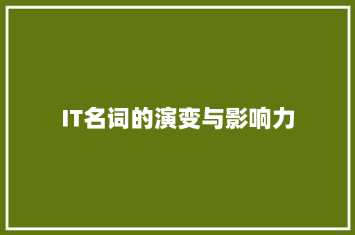 IT名词的演变与影响力