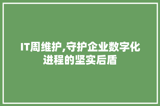 IT周维护,守护企业数字化进程的坚实后盾 小程序开发